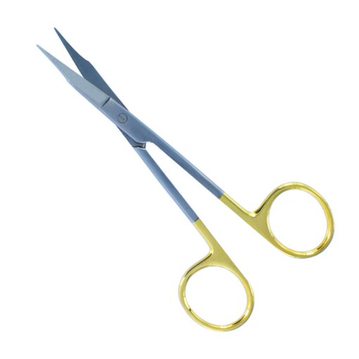 Dental Scissors TC #3